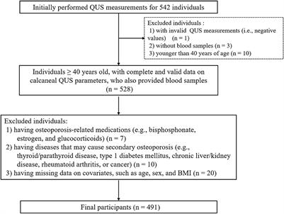 Association between global biomarker of oxidative stress and quantitative ultrasound parameters in middle-aged and elderly adults: A cross-sectional study